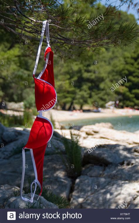 nudists having fun|3,654 Naturism Stock Photos and High.